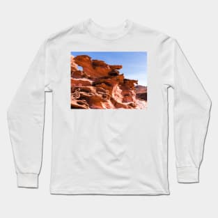 Plants And Birds And Rocks And Things Long Sleeve T-Shirt